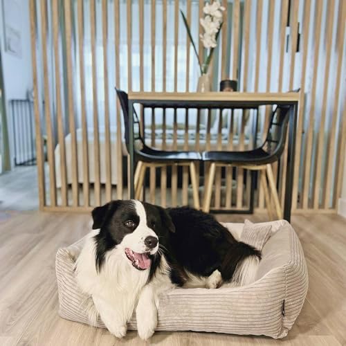 4L Textil Molly Kuscheliges Hundebett Bezug abnehmbar und waschbar Hundekorb mittelgroße Hunde Hundekissen flauschig Hundekörbchen Hundesofa (60x40 cm, Beige)