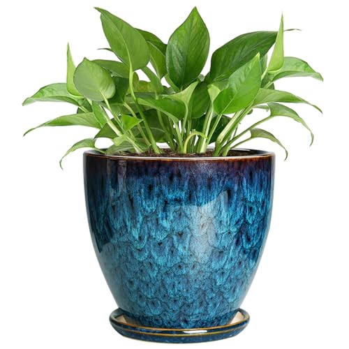 EPFamily Ceramic Plant Pot, 6.3 Inch Ceramic...