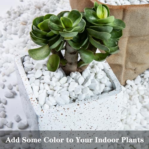 Image of 5lb Polished Aquarium Silica Gravel, Decorative Pebbles Substrate for Fish Tank, Vases, All Purpose Silica Gravel for Aquarium, Fire Pits, and Landscaping, Snow White(0.16-0.24 inch)