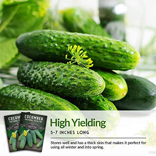 Survival Garden Seeds - National Pickling Cucumber Seed For Planting - Packet With Instructions To Plant And Grow Cucumis Sativus In Your Home Vegetable Garden - Non-Gmo Heirloom Variety #TOP5