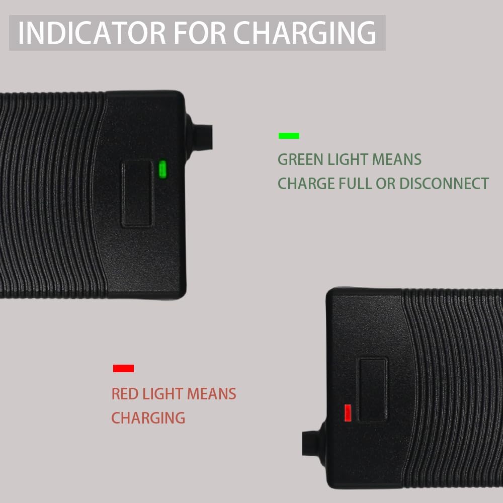 THEPRO 12V 3A LiFePO4 Battery Charger, Smart 14.6V Chargers for 12.8V Lithium Iron Phosphate Rechargeable Batteries