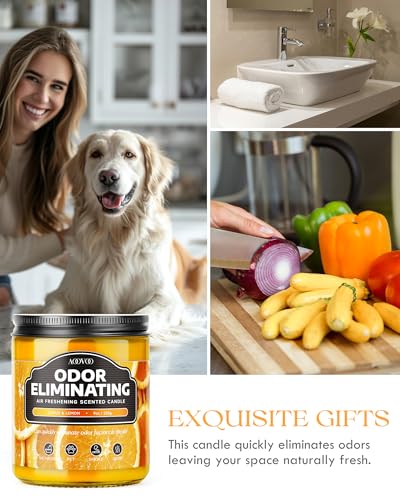 Image of AOOVOO Citrus & Lemon 2 Pack Odor Eliminating Highly Fragranced Candle - Eliminates 95% of Pet, Smoke, Food and Other Smells Quickly, Non Toxic Air Freshing Soy Candle, 18 oz Up to 100 Hours Burn time
