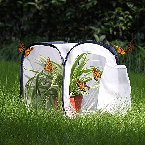 Image of Insect and Butterfly Habitat Cage Terrarium Pop-up 12 X 12 X 12 Inches (Pack of 2)