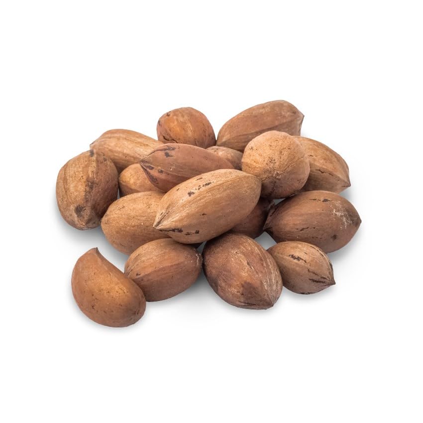 In Shell Natural Pecans - 5 lb. Box - NOT Polished