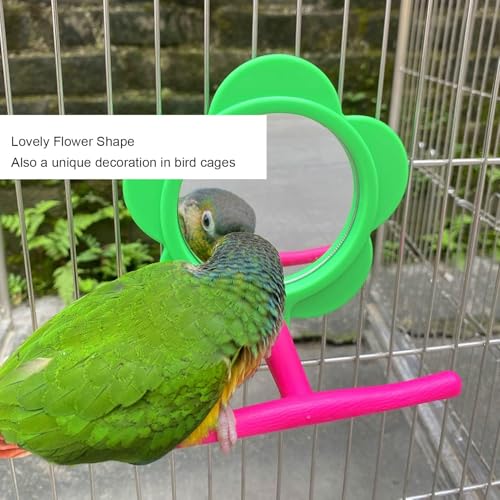 Image of Bird Mirror Perch Toy, Colorful Interactive Standing Swing Exercise Toy for Bird Cage Acrylic Plastic 4.7 Inch Mirror 4.7 Inch Perch 1 Piece