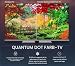 Toshiba, 43QA4163DG, 43 Zoll, QLED Quantum Dot Ultra HD (3840 x 2160), Google Assistent, Bluetooth, Netflix, Video, Chromecast