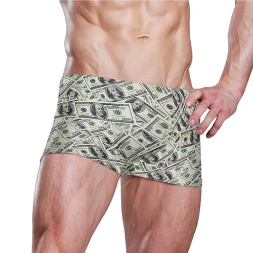 Paper Money Hundred Dollar Bills Mens Swim Trunk Swimwear Bathing Suit Swim Brief Square Leg Board Short S B04050973