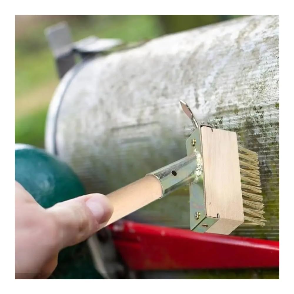 Brosse de désherbage en Fil d'acier Inoxydable, Manche Long for l'élimination de la Mousse des Mauvaises Herbes dans Les allées et Les Jardins(Color 2)