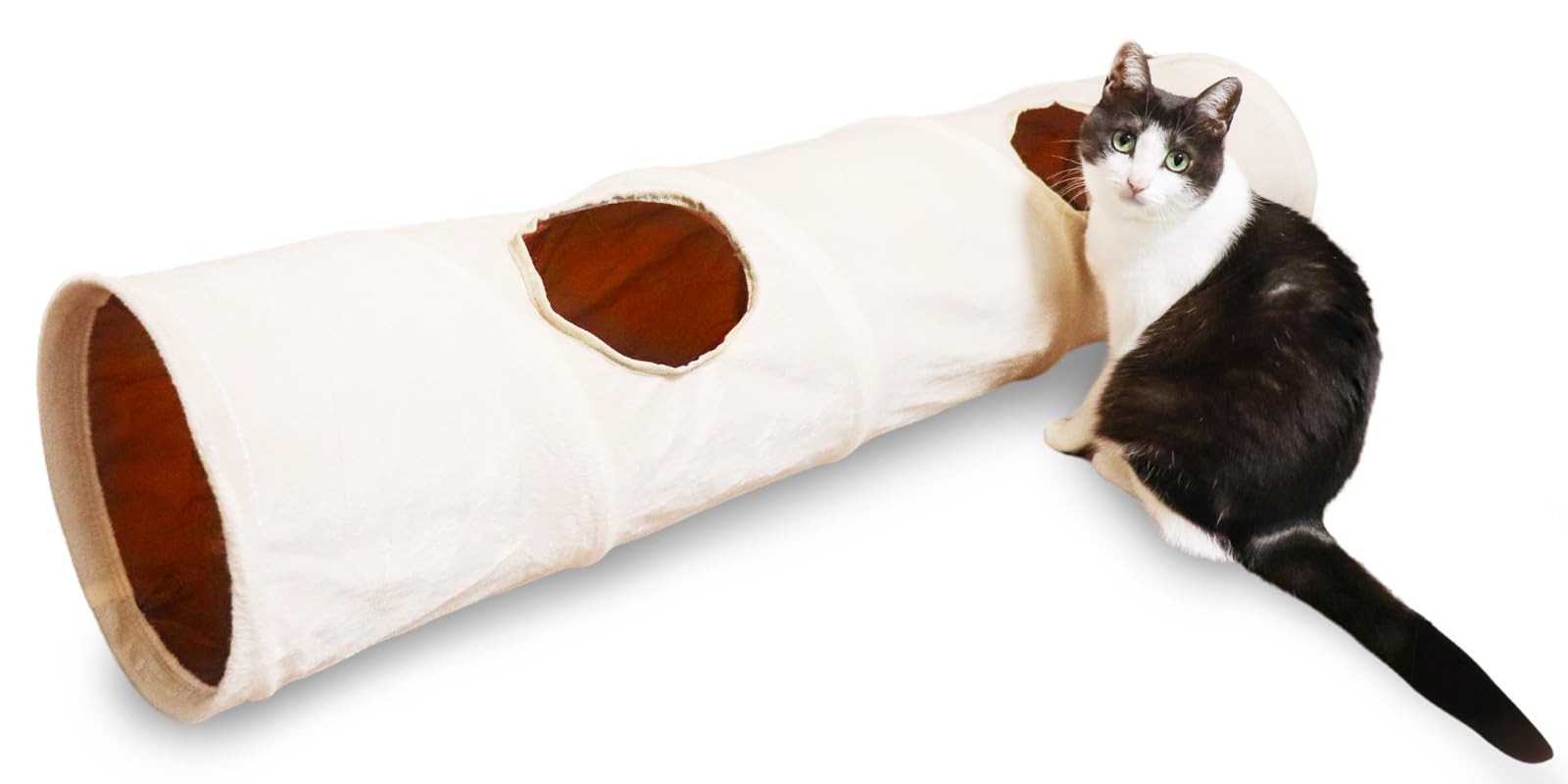 Amazon.co.jp: 【動物看護師監修】猫トンネル 静音 折りたたみ 直径約