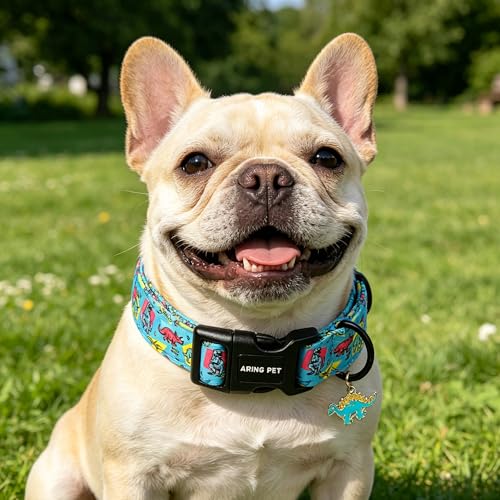 Image of ARING PET Boy Dog Collar for Puppy Small Medium Large Dogs-Blue Dinosaur XS