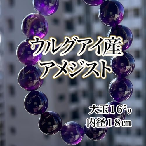 ŏ㋉ΎAWXg uXbg 嗱16~ VR 7AōNX