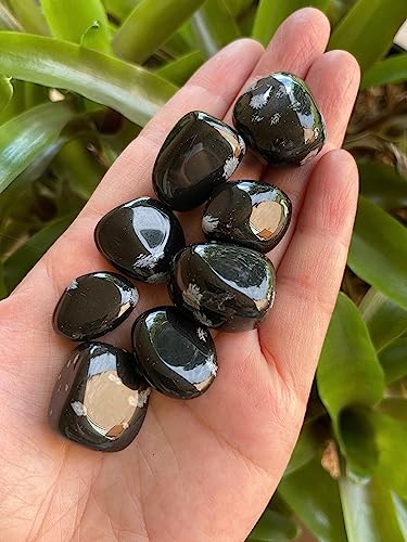 Image of GAF TREASURES 1 /2 LB Snowflake Obsidian Tumbled Stones, Polished Natural Snowflake Obsidian Gemstone, Snowflake Obsidian Healing Crystals (Snowflake Obsidian)