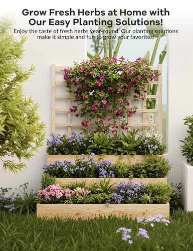 3-Tier Raised Garden Bed with Trellis, Wooden Vertical Planters Bed with Open-Ended Base for Climbing Plants Vines Flower Herb Vegetable Fruit,Outdoor Planter Boxes for Patio Yard Lawn