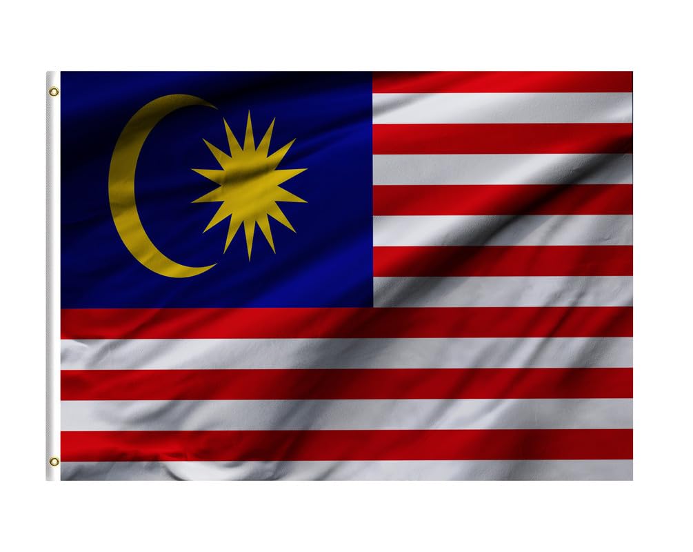 BPA® Cute Fluffy Cat Outdoors Canvas For Home And Office Décor (60x91)