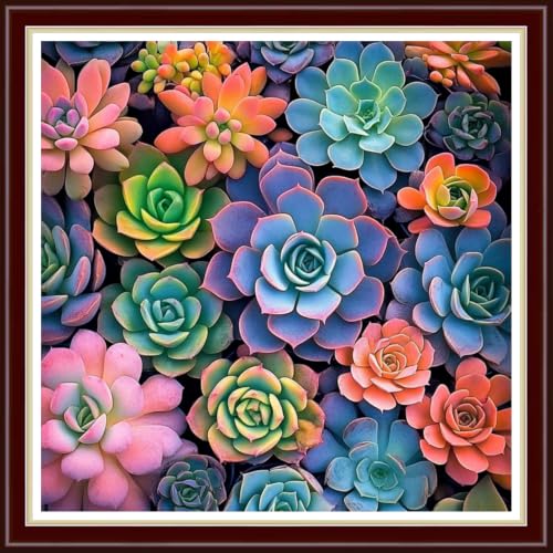 Image of Fanxvivy Stamped Cross Stitch Kits for Beginners Full Range of Cross Stitching Preprinted Embroidery Kits for Adults, 11CT Embroidery Pattern Needlepoint Kits-Colorful Succulent Plants 18x18 inchs