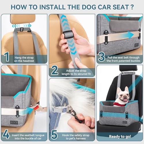 Petsfit Hunde Autositz für kleine Hunde, Stabiler & Sicherer Hundeautositz Hundesitz Auto Rückbank mit Sicherheitsgurt-Halteclip, Hundekorb Hundebett Auto mit waschbaren Plüschkissen