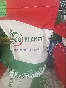 GRASS SEED Imported 6-Piece Mixture ECO PLANET SEED 6-M Mix Reconstruction and Repair Grass (in 1 KG Transparent Package)