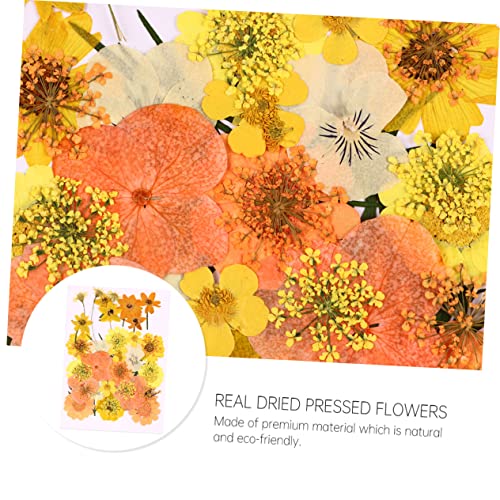 Kit de 40 flores prensadas secas Angoily para manualidades miniatura 3