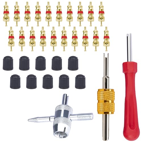 ecocstm 2 PCS Tire Valve Stem Removal Tool with 20 PCS Valve Cores 10 PCS Tire Valves Caps 1 PCS 4-Way Valves Tool Car Accessories Tires Repair Tools Universal for All Cars (33 PCS)