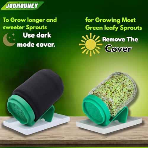 Image of JOOMOUNEY Sprouts Making Glass Jar PACK OF TWO | With Seeds, Sprouter with Mesh Lid | Durable Reusable Sprout Maker Jar for Beans Grains & Seeds | Easy Drainage Hygienic BPA-Free (GREEN)