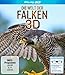 Produktbild Die Welt der Falken 3D: Blu-ray 3D + 2D