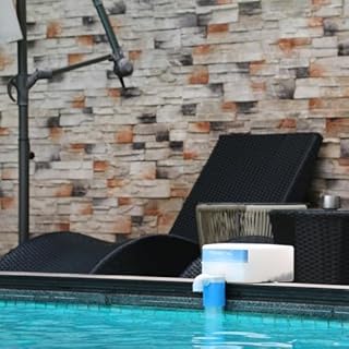 Yoniccal Pool Filler Automatic Pool Fill Water Leveler auto Filler Water Level Control (3/4'' Grey with Grey Box.)