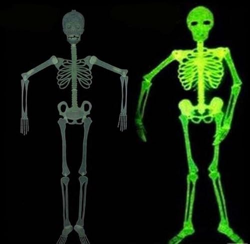 Halloween 5 Ft Skeleton Luminous Glow-in-The-Dark Skeleton for Halloween Party Bar Wall Sticker Decorations Outdoor Yard Garden Hanging Ornaments Props