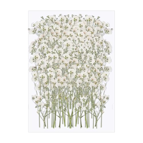 Flor seca artificial Babys Breath blanco x100 unidades miniatura 1