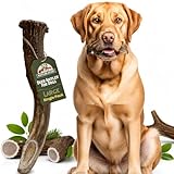 Deer Antlers for Dogs Large - 6-8 Inch Heartland Antlers Dog Chew for 45-65 lb Dogs, Long Lasting Chew for Aggressive Chewers, Naturally Shed, Grade A USA Sourced Single Ingredient, Splinter Resistant