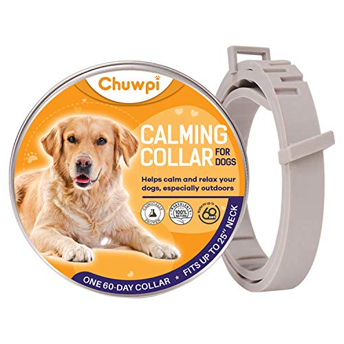 100 Bolsas de Papel con Rayas Azules para Caramelos Dulces Alimentos de Tiendas de Regalos Fiestas de 125mm x 175mm