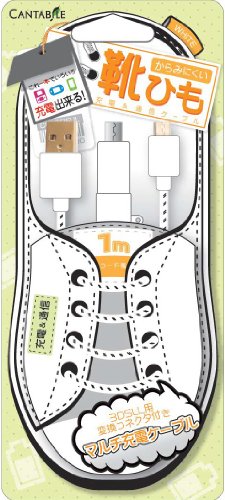 各種ゲーム機用USB充電ケーブル