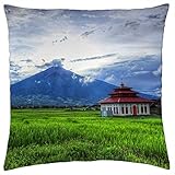 50% algodón, 50% poliéster. Lovely Temple in the fields by a volcano – throw pillow cover case (18