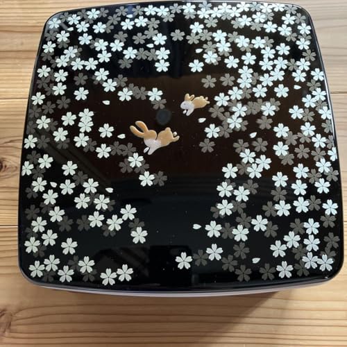 d  I[hu iٓ Ԍ  ^ { `24×24p 12p