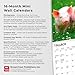 Piglets | 2026 7 x 14 Inch (Hanging) Monthly Mini Wall Calendar | BrownTrout | Domestic Pet Baby Farm Animals