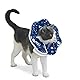 Halskrausen für Katze und Hündchen,Halsband für Haustiere,Schutzhalsband Kegelhalsbänder,Schutzmaßnahmen Schutzkragen Hund,Einstellbar Hundekragen,Hunde Halskrause Leckschutz für Hunde