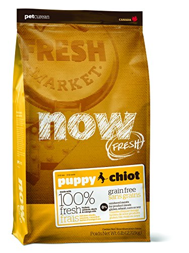 PetCurean Now Fresh Puppy Grain Free per Cani