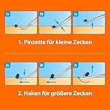 ARDAP Floh- und Zeckenschutz Paket inkl. Dr. Fressnapf Online-Tierarzt Beratung für Hunde (L) - Zeckenmittel für Hunde, Zeckenschutz Hund, Flohmittel Hund, Bis zu 12 Wochen Langzeitschutz
