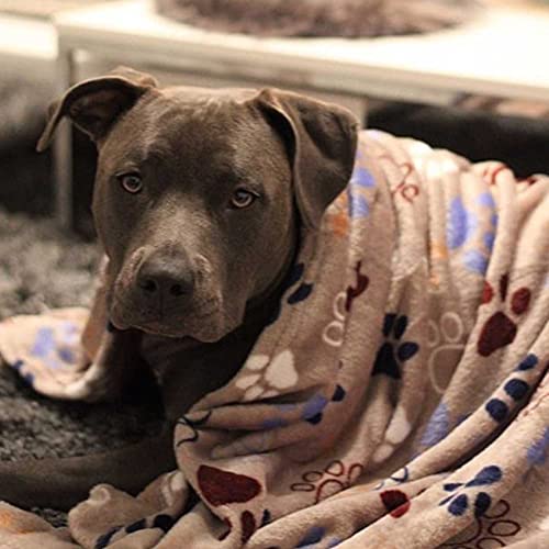 Nobby 60882 Hundedecke Classic Lissi hellgrau L x B: 100 x 150 cm, L, hellgrau