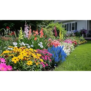 Amazing deal complete spring summer 100 bulbs colorful blooming flower garden beautiful flowers that attract bees butterflies hummingbirds and other pollinators easy to grow 1000s sold  urban country home decor