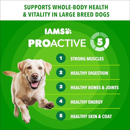 IAMS Proactive Health Adult Large Breed Dry Dog Food – Chicken & Whole Grain Recipe – 13.61KG (30LB) Bag - Image 4
