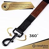 VierPfoten Schleppleine für Hunde, 5m, 10m, 15m, 20m, Robuste Hundeleine, Trainingsleine, Griffpolster, Aufbewahrungsbeutel, stabilem D-Karabiner (10m)