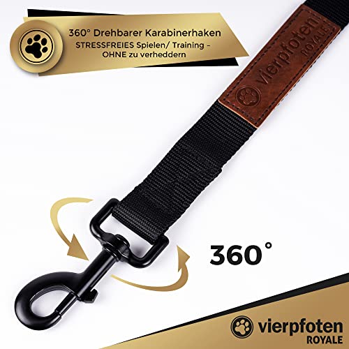 VierPfoten Schleppleine für Hunde, 5m, 10m, 15m, 20m, Robuste Hundeleine, Trainingsleine, Griffpolster, Aufbewahrungsbeutel, stabilem D-Karabiner (5m)