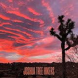  Rainy Weekend In Joshua Tree