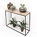 C-Hopetree Console Narrow Entry Table for Entryway Hallway Sofa - Black Metal