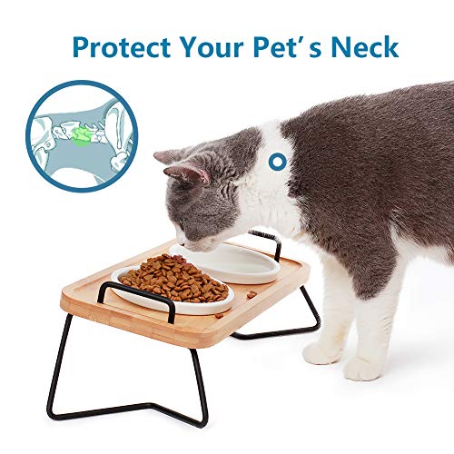 Pmcvse Elevated Ceramic Cat Bowls, 15° Tilted Raised Food Feeding Dishes, with Stand Bamboo Water Feeder Set for Small… - Image 2