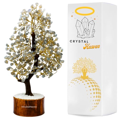 Image of Grey Moonstone Crystal Tree for Good Luck - Healing Crystals Money Tree for Wealth, Positive Energy at Home Office - Decorative Spiritual Gifts for Vastu, House Warming