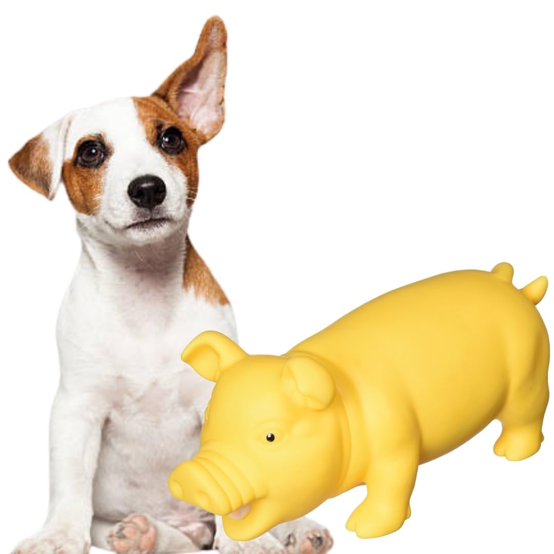 Sage Square Squeaky Rubber Pig Toy for Dogs & Cats: Unleash The Chew Cravings with Loud Squeak, Entertained for Hours, Interactive Rubber Toy, Tugs and Squeezes, Barking Glees, Fun with Pig