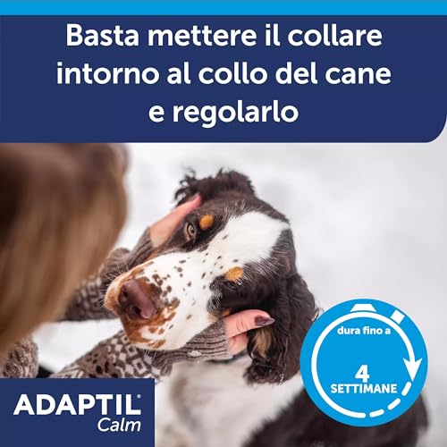 ADAPTIL Calm Beruhigendes Halsband für Hunde, Größe M/L, mittelgroße und große Hunde, beruhigende Pheromone, Stressabbau für hyperaktive, ängstliche Hunde, Entspannung für Hunde, Reisen und stressige