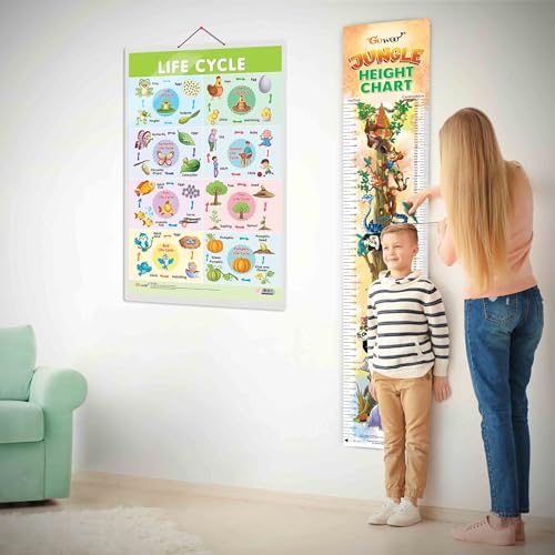 Image of GO WOO Life Cycle Chart and JUNGLE HEIGHT CHART | Set of 2 charts 1 Educational + 1 Height Chart | A Pack of Life Cycle Chart and Jungle Height Chart for Adventure-seeking Kids