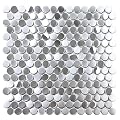 Blujellyfish Silver Penny Round Tile Stainless Steel 3/4" Mosaics for Kitchen Bathroom Accent Wall Backsplash Shower Floor (Box of 5 Sheets)